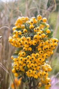 y_tuztovis_soleildor