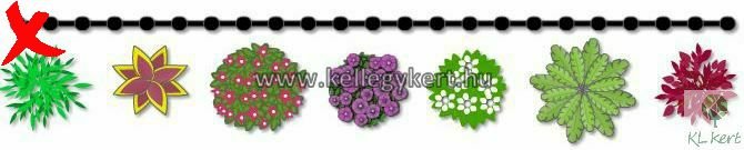 soveny_1