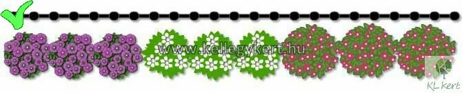 soveny_2