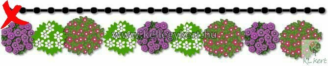 soveny_3